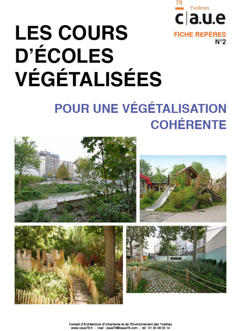 Cette fiche propose une sélection d’essences végétales locales, adaptées aux cours d'écoles et au contexte climatique.