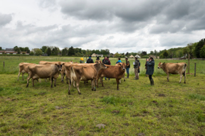 Concours général agricole agroforesterie, 2022. Jury à la ferme de la Tremblaye, La Boissière Ecole (Yvelines)