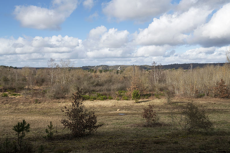 La réserve naturelle régionale de la boucle de Moisson dans les Yvelines, @Ambroise Tézenas et Jérémie Léon